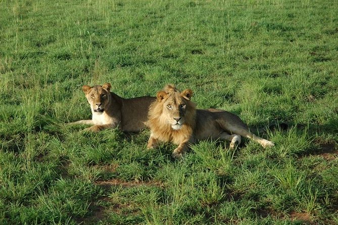 3-Day Murchison Falls National Park - Adventure Safari - What the $1,580 price includes, and what to check