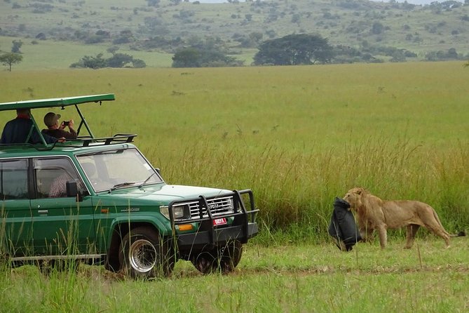 3-Day Murchison Falls National Park - Adventure Safari - Who should book this Uganda safari