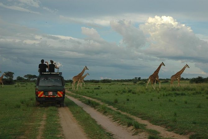 3-Day Murchison Falls National Park - Adventure Safari - Should you book it?
