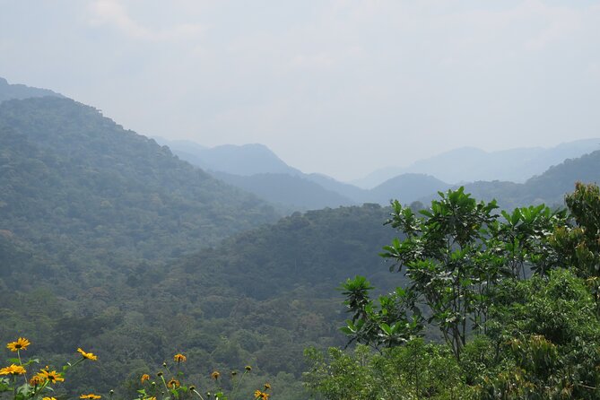 3 -Day Private Gorilla Trekking Safari in Bwindi Forest - What the $1,698 price really covers