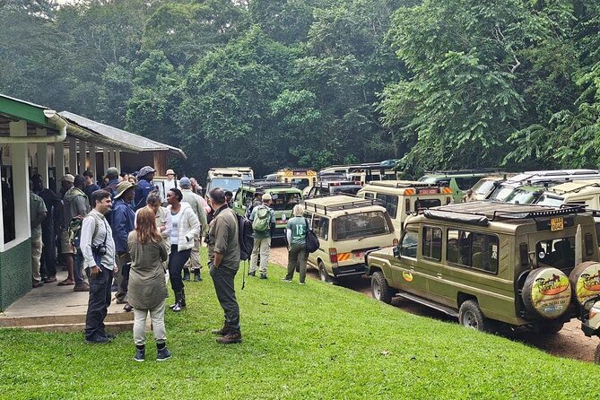 3-Day Private Guided Gorilla Trekking In Uganda - How Sankofa Afrika Tours fits the experience