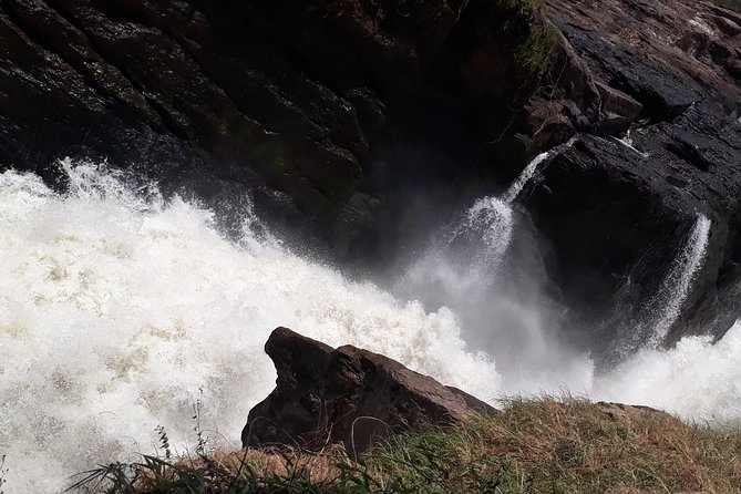 3 Day Private safari to Murchison Falls National Park with Big Five Experience - Key things to know before you book