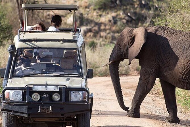 3-Day Safari in Queen Elizabeth National Park Uganda from Kampala - The Kasenyi trail and the morning wildlife search