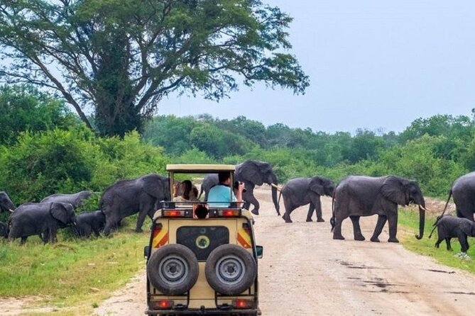3-Day Safari in Queen Elizabeth National Park Uganda from Kampala - Arriving at Queen Elizabeth National Park