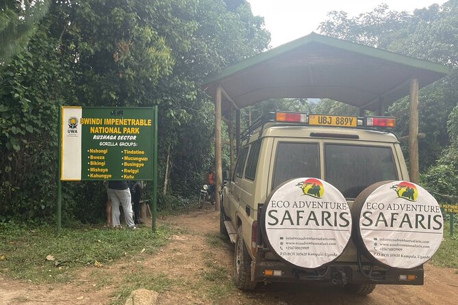 3 Day Uganda Gorilla Trekking and Batwa Pygmies Experience - Day three: returning to Entebbe or Kampala