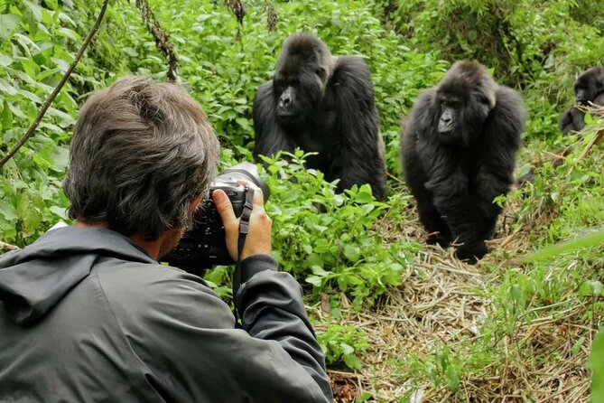 3 Day Uganda Gorilla Trekking and Batwa Pygmies Experience - Is $1,860 a fair price?