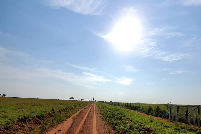 3 Days 2 Nights, Murchison Falls And Wildlife Safari - The thunder of the falls