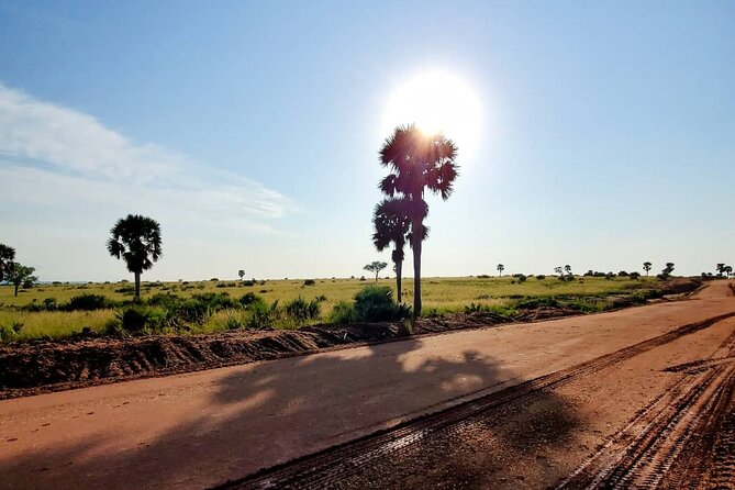 3 Days 2 Nights, Murchison Falls And Wildlife Safari - Who should book this three-day safari?