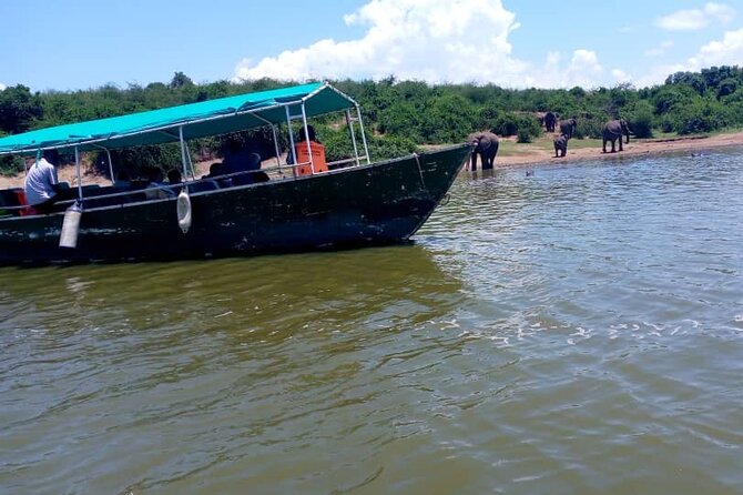 3 Days Best of Queen Elizabeth National Park Wildlife Tour - Day one: the Equator, a long western drive, and crater country