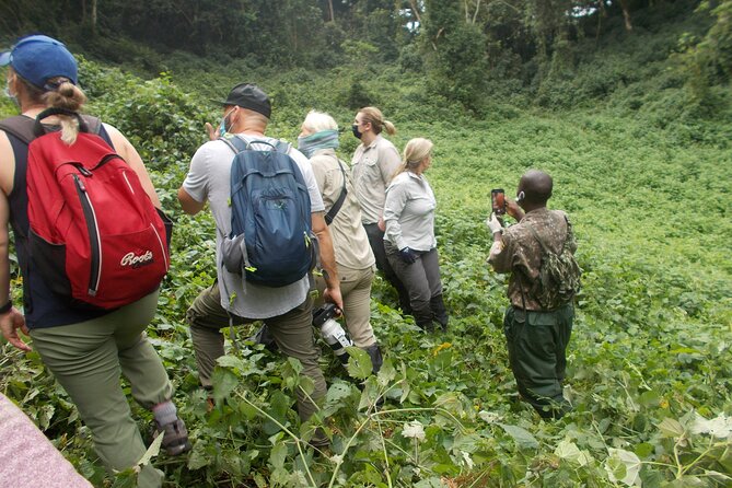 3 Days Bwindi Gorilla Trekking tour - Who should book this trek