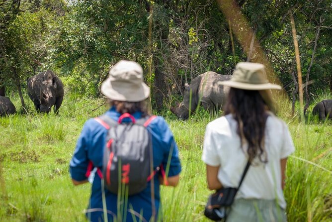 3 Days gorilla trekking Safari tour in Uganda - The real cost of a $2,600 gorilla trip