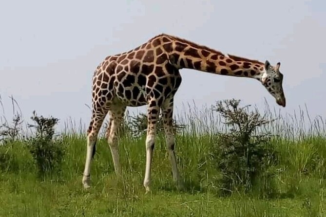 3 Days gorilla trekking Safari tour in Uganda - Lake Bunyonyi adds a gentler final note
