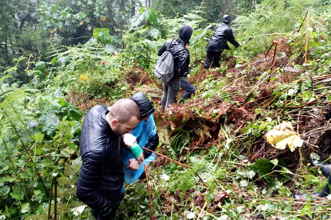 3 Days Gorilla trekking Safari Uganda, Bwindi Impenetrable Forest - Day 1: The long road from Kampala to Bwindi