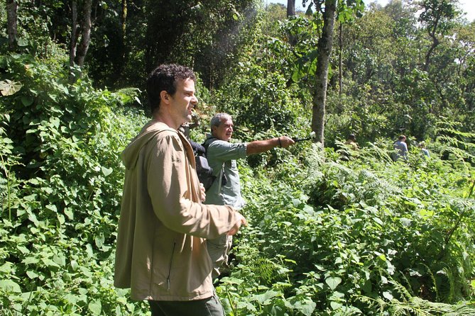 3 Days Gorilla trekking tour - The lodge names need sorting out