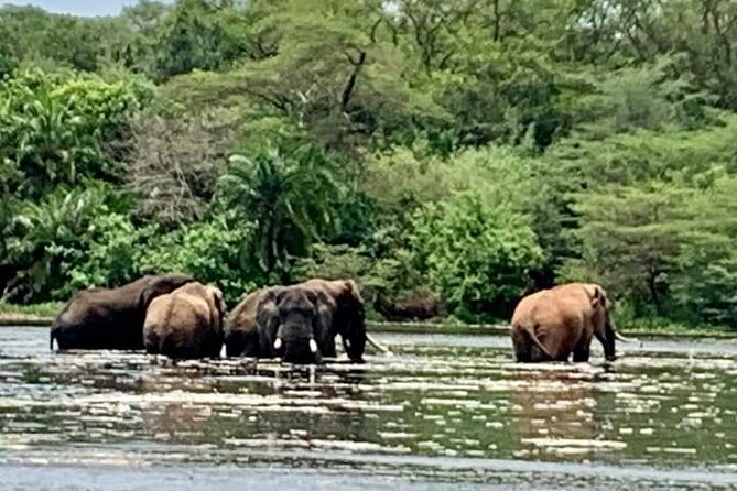 3 Days magical Murchison falls safari - The Second Game Drive and the Falls From Above