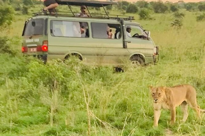 3 Days magical Murchison falls safari - Should You Book the Murchison Falls Safari?