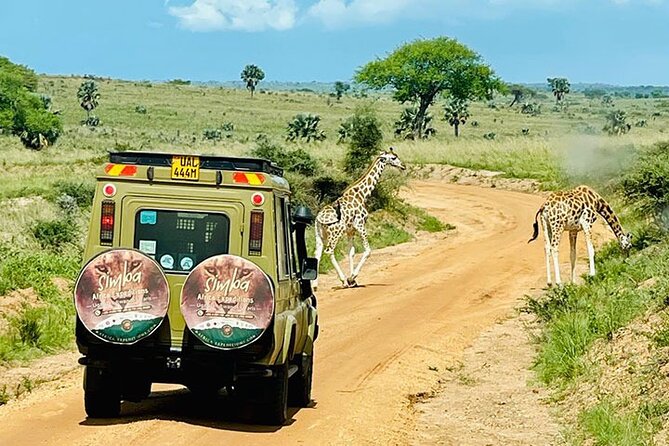 3 days Murchison Falls, Boat cruise and wildlife game viewing - Why Murchison Falls is worth the long road from Kampala