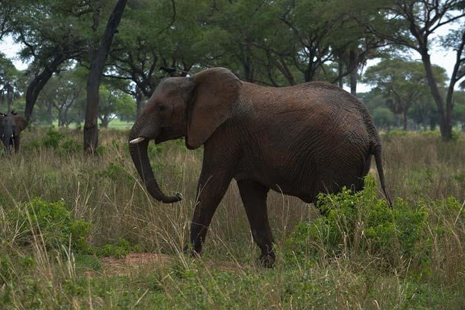 3 days Murchison Falls, Boat cruise and wildlife game viewing - What the $1,159 price includes