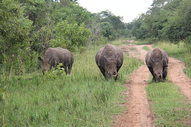 3 days Murchison Falls, Boat cruise and wildlife game viewing - The private guide is a major part of the experience