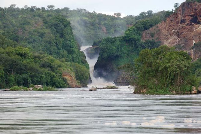 3 days Murchison Falls, Boat cruise and wildlife game viewing - Day 1: An early start, Ziwa rhinos, and the southern gate