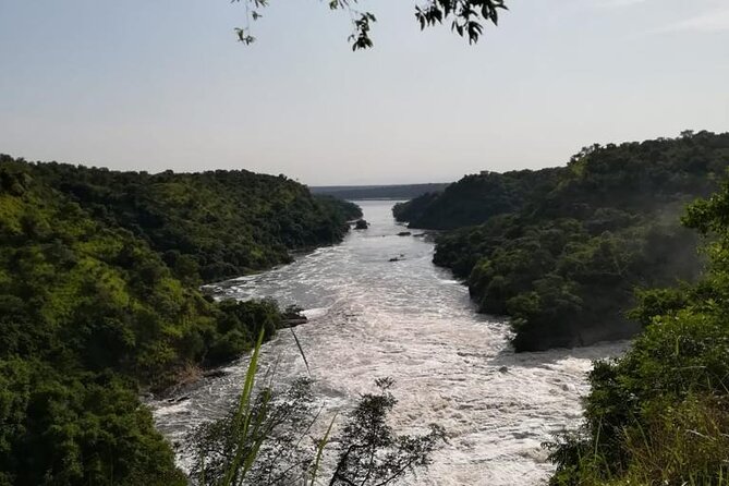 3 Days Murchison Falls National Park Safari & Rhino tracking - The game drive and what you may see