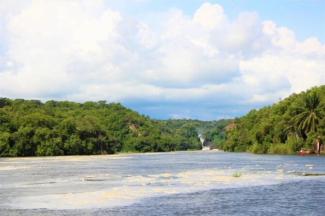 3 Days Murchison Falls National Park Safari & Rhino tracking - Standing above Murchison Falls