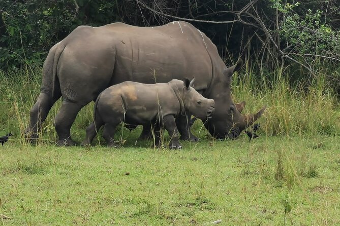 3 Days Murchison falls park Uganda - What the $800 price covers