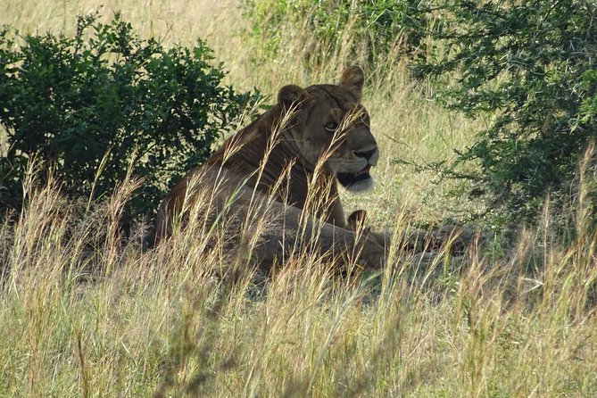 3 Days Murchison falls park Uganda - Day one: the road to Ziwa Rhino Sanctuary