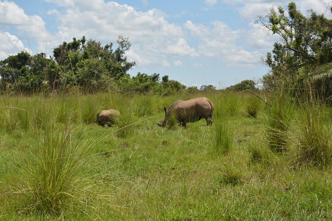 3-Days Murchison Falls Vacation Including Big 5 Sighting! - Accommodation and meals: useful comfort, not a luxury promise