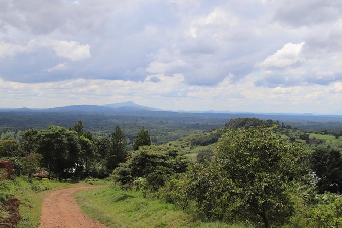 4-Day Gorillas, Wildlife and Chimpanzee Trek at Kalinzu Forest - Guides, planning, and the human side