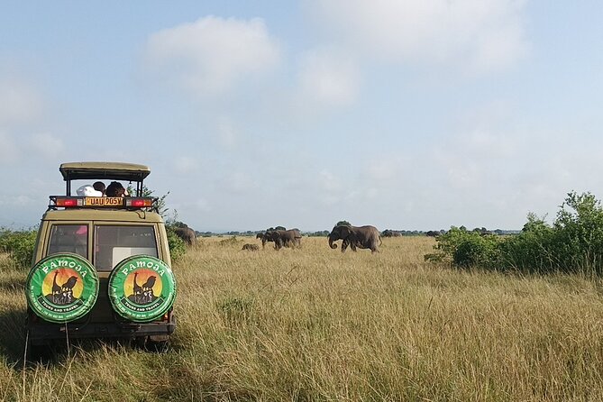 4-Day QENP, Gorillas in Bwindi and Lake Bunyonyi relaxation - Day 3: moving to Lake Mburo