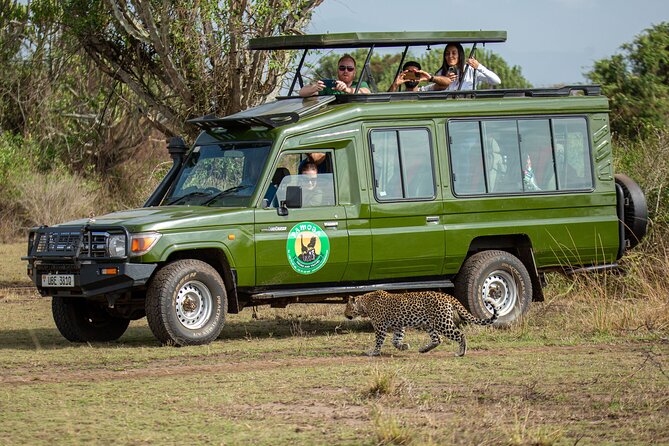 4-Day QENP, Gorillas in Bwindi and Lake Bunyonyi relaxation - Day 4: final game drive and return to Kampala