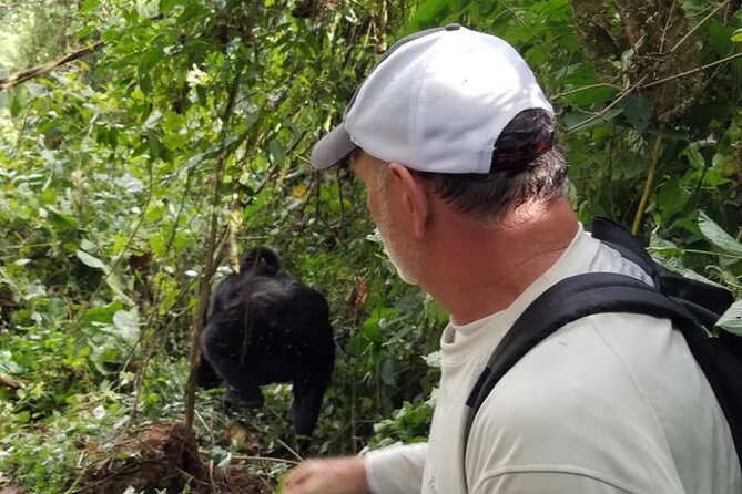 4 Days Gorilla and Chimps trek safari - Day 1: Kampala to Bwindi by way of the Equator