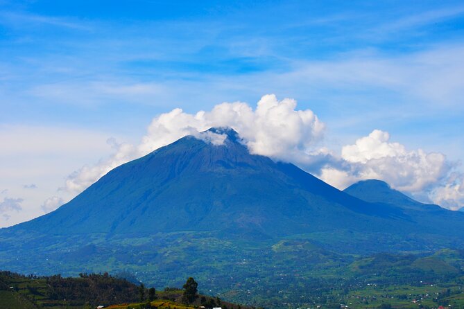 4 Days Gorilla tracking Tour in Uganda - Why the gorilla trek is worth the effort