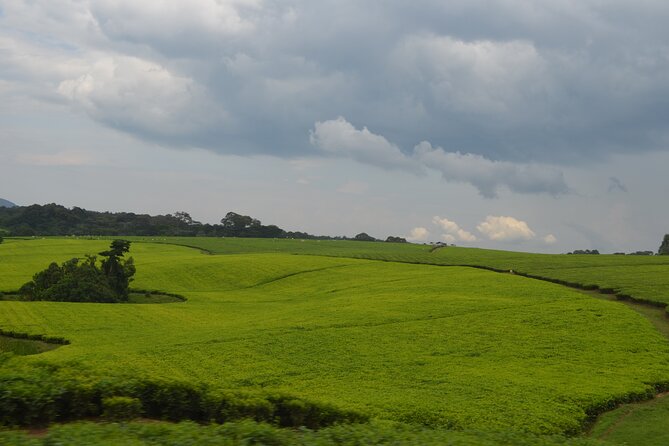 4 Days Gorilla tracking Tour in Uganda - Day 4: Kyabahinga Hill and the road back to Kigali