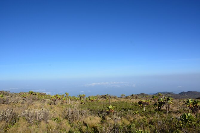 4 Days mount Elgon Trek, 4321m a.s.l - Why Mount Elgon feels different from other African climbs