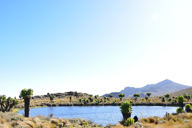 4 Days mount Elgon Trek, 4321m a.s.l - Day 3: Wagagai Peak and the hardest decision of the trek