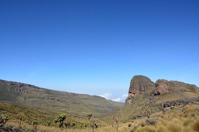 4 Days mount Elgon Trek, 4321m a.s.l - Day 2: Climbing toward Dubi Camp at 3,300 meters
