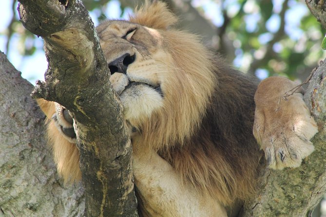 5-Day Big 5 Kidepo valley National Park Safari - Why Kidepo is worth the long road north