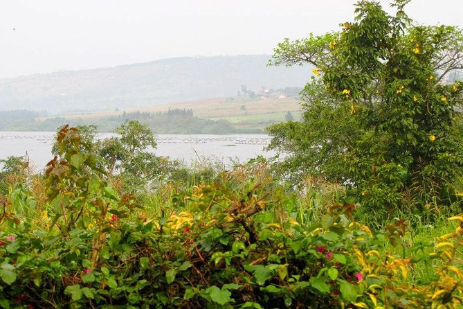 5 Day Gorillas, Wildlife and Kalinzu Forest Chimp Trek - Day 4: Kasenyi Plains and the Kazinga Channel