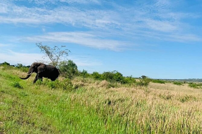 5 days best wildlife experience in Uganda - What the $2,569 price really covers