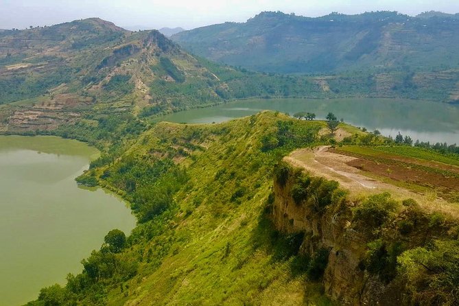 6 Day Gorilla tracking and Wildlife Safari - Day 3: Gorilla trekking in Bwindi