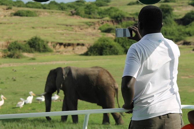 6-Day Queen Elizabeth and Mburo Luxury Safari - Day 2: The road to Queen Elizabeth National Park