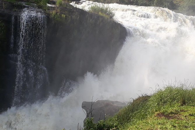 6 Days Chimps, Gorillas & Murchison Falls Africa's Big Five Experience Safari - The big picture: six full days, but plenty of road time