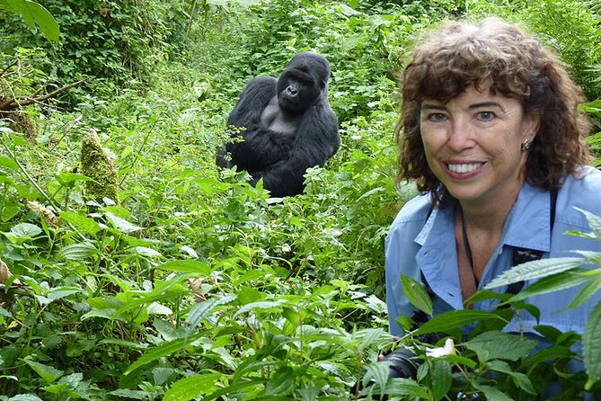 6 Days Uganda Gorilla, Chimps Trekking and Wildlife Safari - Why the gorillas make this trip special