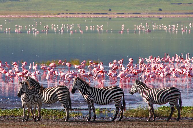 7-Day Private Uganda Gorilla Tracking Safari Tour From Entebbe - Why this seven-day route works