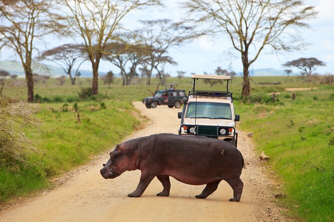 7-Day Private Uganda Gorilla Tracking Safari Tour From Entebbe - Day 6: Lake Mburo and a final wildlife cruise