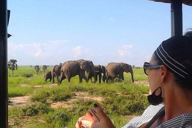 7-Day Uganda Adventure Safari - Midrange Lodges - Day 2: Ziwa Rhino Sanctuary breaks up the drive north