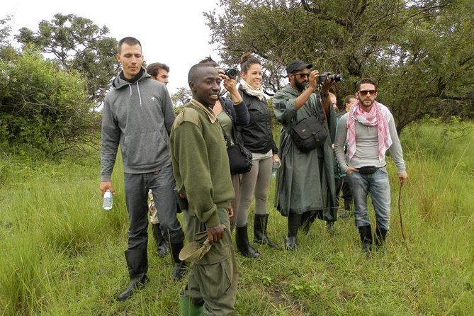 7-Day Uganda Adventure Safari - Midrange Lodges - Day 4: The Fort Portal stop that saves the route