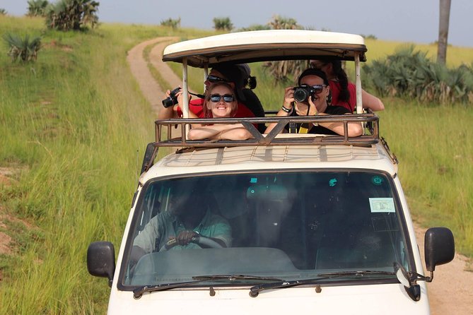 7-Day Uganda Adventure Safari - Midrange Lodges - Day 6: Northern game drives and the Ishasha gamble